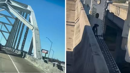 Captures de la vidéo du sauvetage du chien