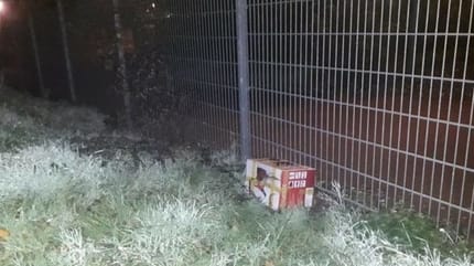 carton abandonné refuge