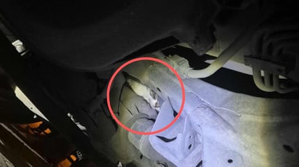 Gatto nel motore di un'auto