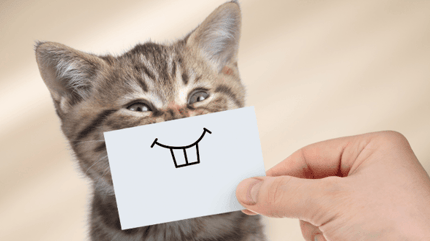 Chat sourire