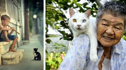 Ces 20 fois où les chats ont prouvé qu’ils avaient vraiment du cœur