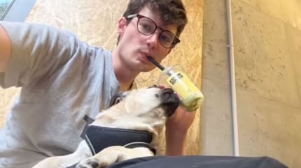 chien et jeune homme