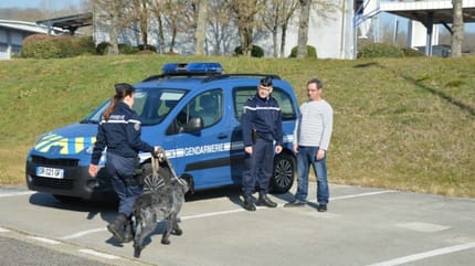chien gendarmes