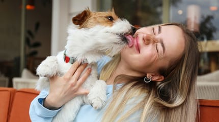 chien humain