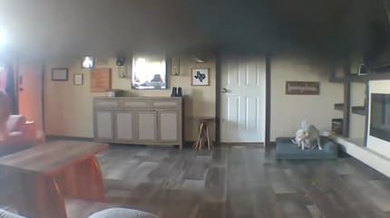 Dog rescued from house fire