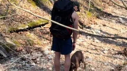 Chien retrouvé par des randonneurs