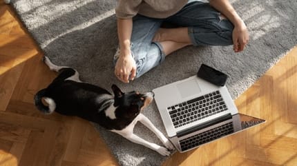 scène de télétravail avec un chien