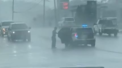 Chienne autoroute pluie