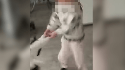 Child spins cat around in Poland