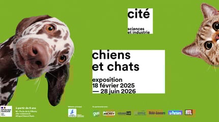 Cité des Sciences et de l'Industrie - Exposition Chiens et Chats