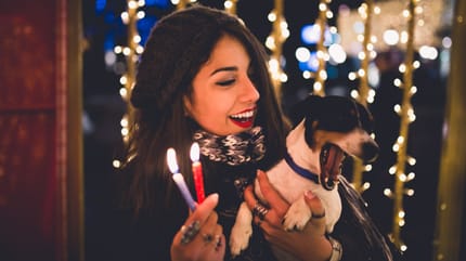 come non far spaventare i cani a capodanno