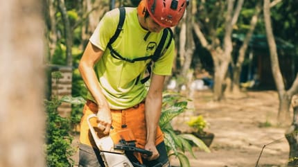 Cutting a tree