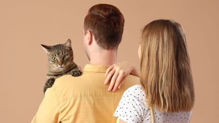 Couple et chat