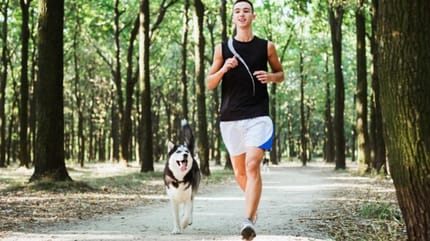 course pied chien