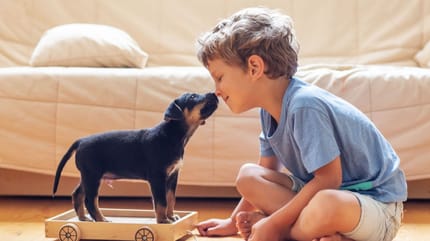 Cuccioli in famiglia