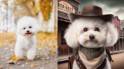 Czarek po przemianie AI