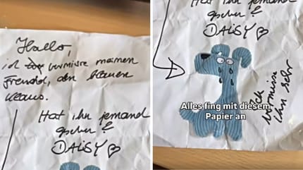 Daisys Suchanzeige