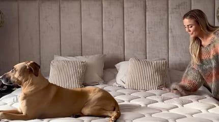 de hond van Monique Westenberg moest weer onder het mes vanwege een tumor