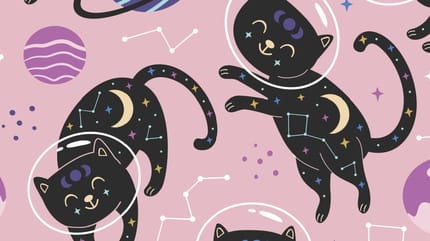 Descubre tu nivel de compatibilidad con tu perro o gato