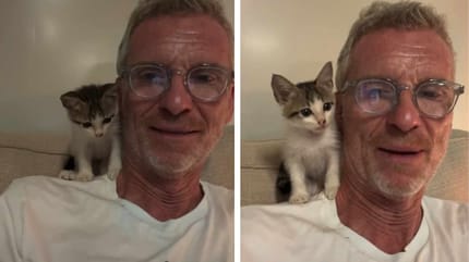 Denis Brogniart et son chaton sur l'épaule