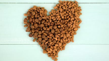 Des croquettes en forme de coeur