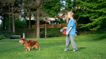 enfant et chien