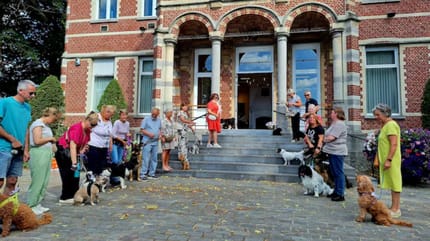 erehaag met 35 honden voor bruidspaar Paul en Nancy