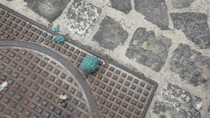 esche avvelenate per cani a Cagliari