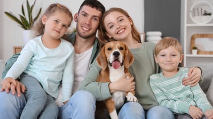 Familienhund mittelgroß in seiner Familie