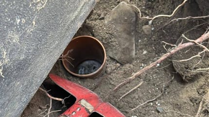 Feuerwehr rettet Katze aus Abflussrohr