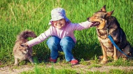 chat chien petite fille été