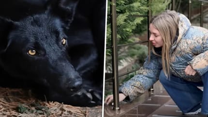 Frau nähert sich frierendem Hund