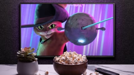Gato de Shrek