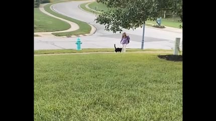 gatto con padroncina