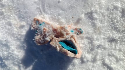 Cebo envenenado en la nieve