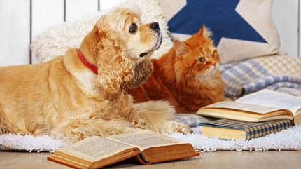 giornata mondiale della poesia