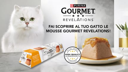 Gourmet
