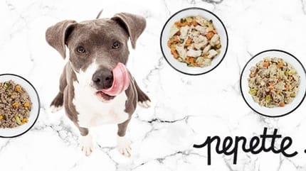 nourriture pour chien Pepette