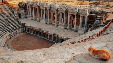 historische kattennamen