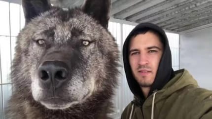 Homme et loup