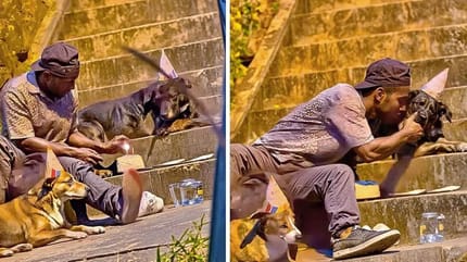 Obdachloser mit zwei Hunden