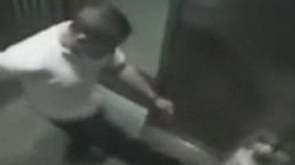 un homme frappe son chien dans l'ascenseur