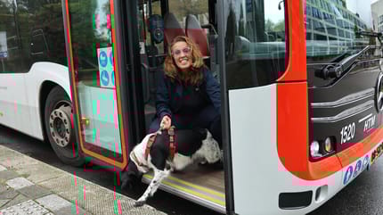 Hond in Den Haag maakt busrit zonder baasje