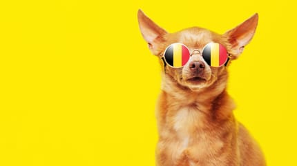 hond met Belgische naam