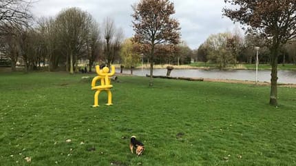 Hondenbelasting Alphen aan den Rijn