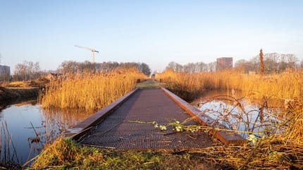 Hondenbelasting Tilburg