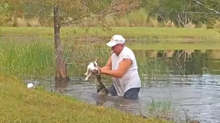 Hund Alligator und Herrchen