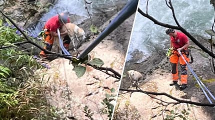 Hund am Krimmler Wasserfall gerettet