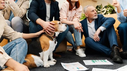 Hund bei einem Büro-Meeting