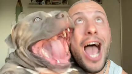 Hund Herrchen lachen gemeinsam